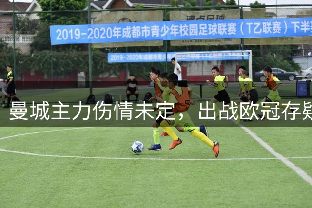 曼城主力伤情未定，出战欧冠存疑